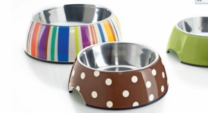 Accessoires pour chiens