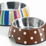 Accessoires pour chiens